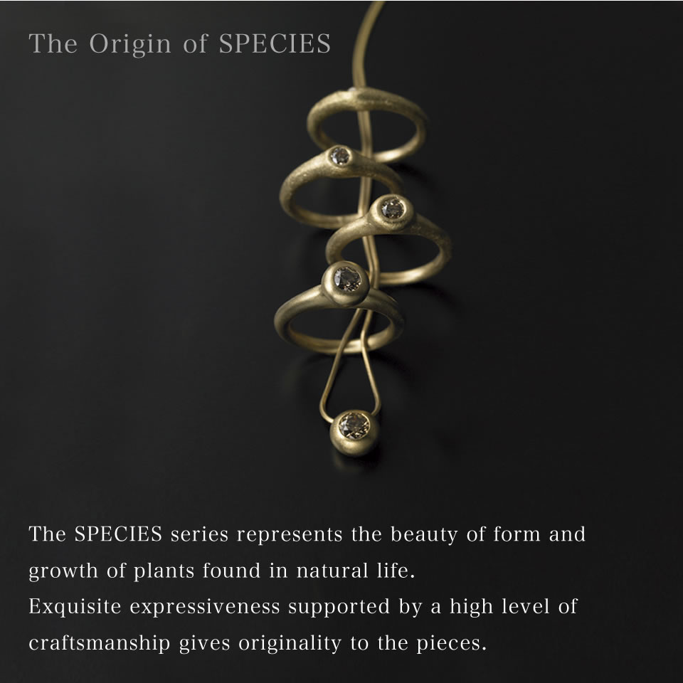 The SPECIES series represents the beauty of form and growth of plants found in natural life. Exquisite expressiveness supported by a high level of craftsmanship gives originality to the pieces.
